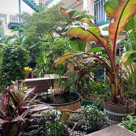 Oasis Inn San Francisco Zewnętrze zdjęcie