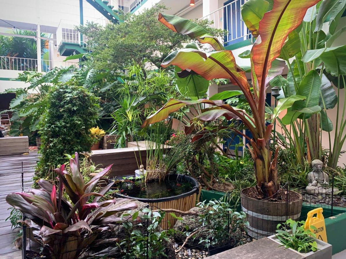 Oasis Inn San Francisco Zewnętrze zdjęcie